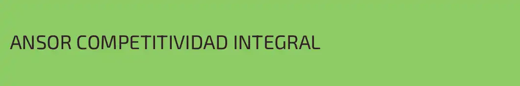 ANSOR COMPETITIVIDAD INTEGRAL